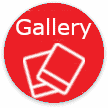 Automatic Gate Gallery